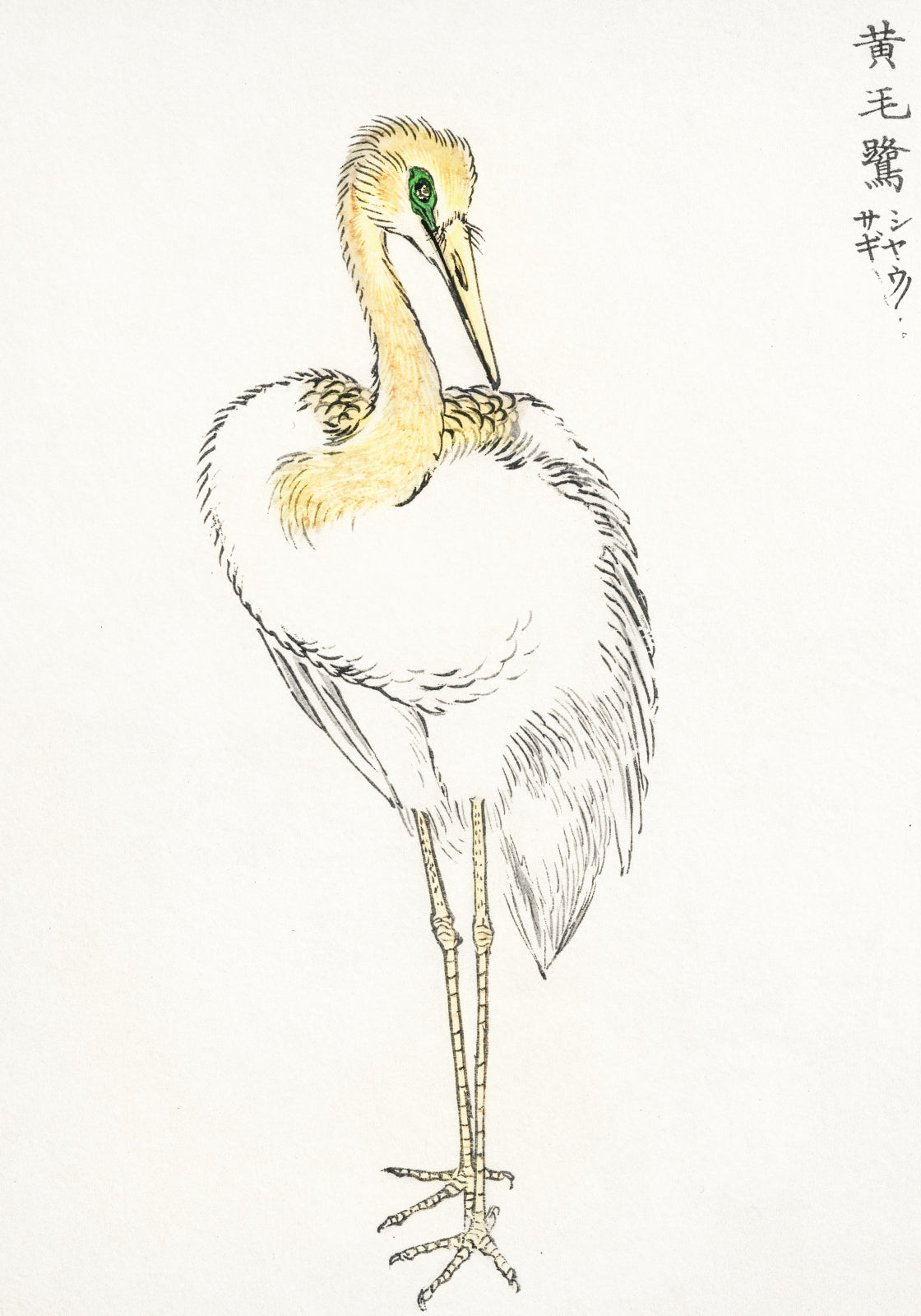 Plakat   Great White Egret, Kashu Japoński Vintage