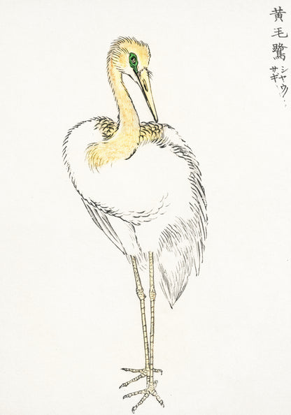 Plakat   Great White Egret, Kashu Japoński Vintage