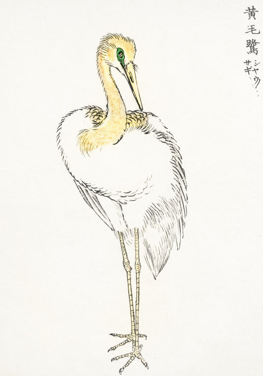 Plakat   Great White Egret, Kashu Japoński Vintage