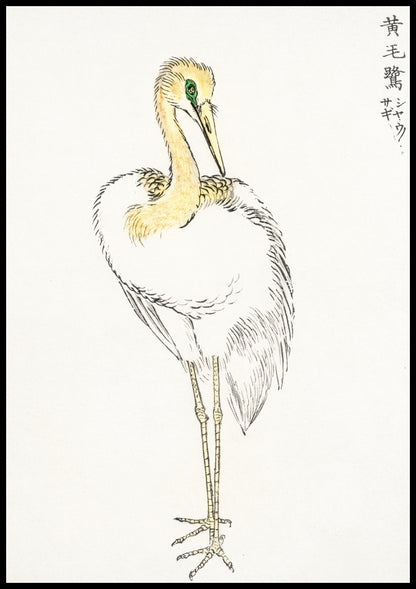 Plakat   Great White Egret, Kashu Japoński Vintage
