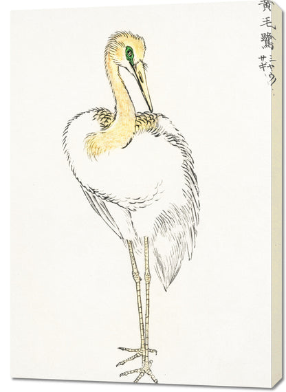 Obraz   Great White Egret, Kashu Japoński Vintage