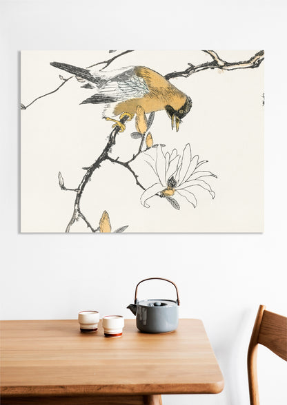 Obraz  Tibetan Hoopoe, Kashu Japoński Vintage