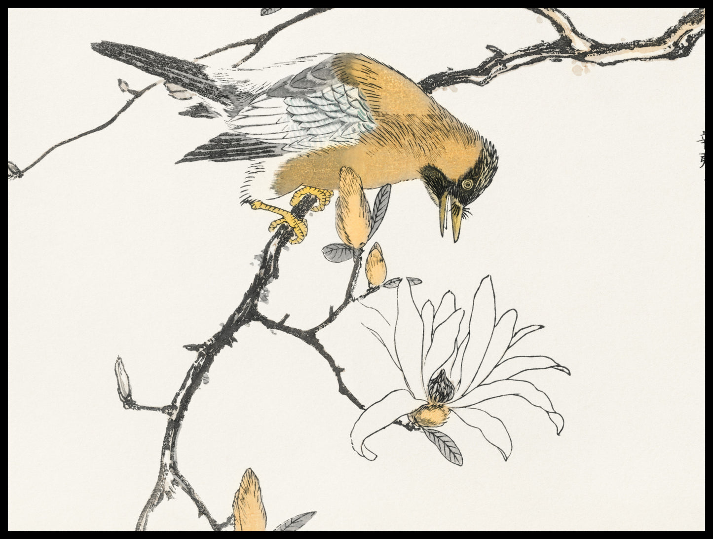Plakat  Tibetan Hoopoe, Kashu Japoński Vintage