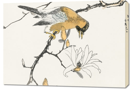 Obraz  Tibetan Hoopoe, Kashu Japoński Vintage
