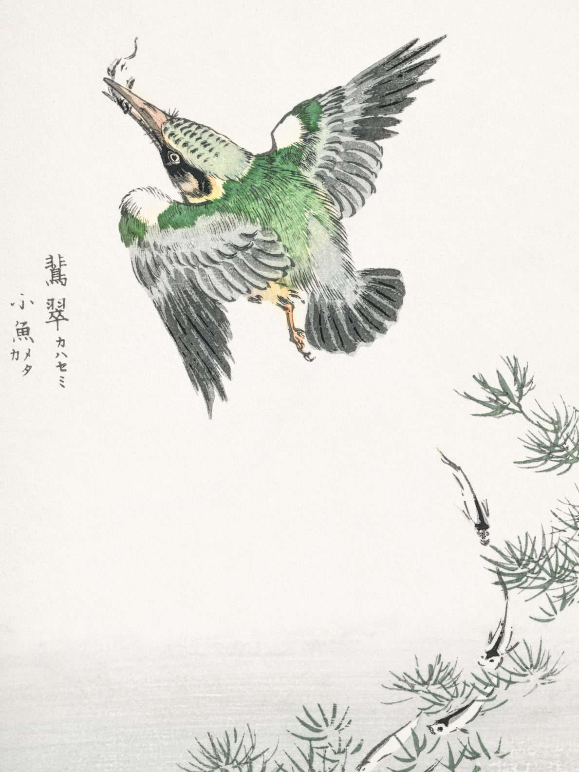 Plakat  Common Kingfisher, Kashu Japoński Vintage