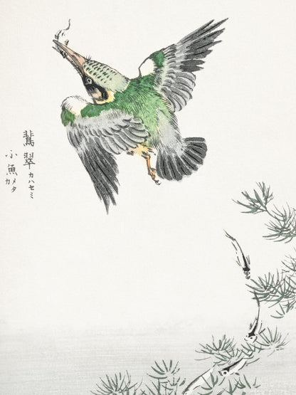 Plakat  Common Kingfisher, Kashu Japoński Vintage