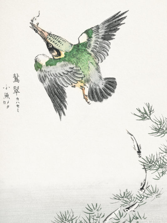 Plakat  Common Kingfisher, Kashu Japoński Vintage
