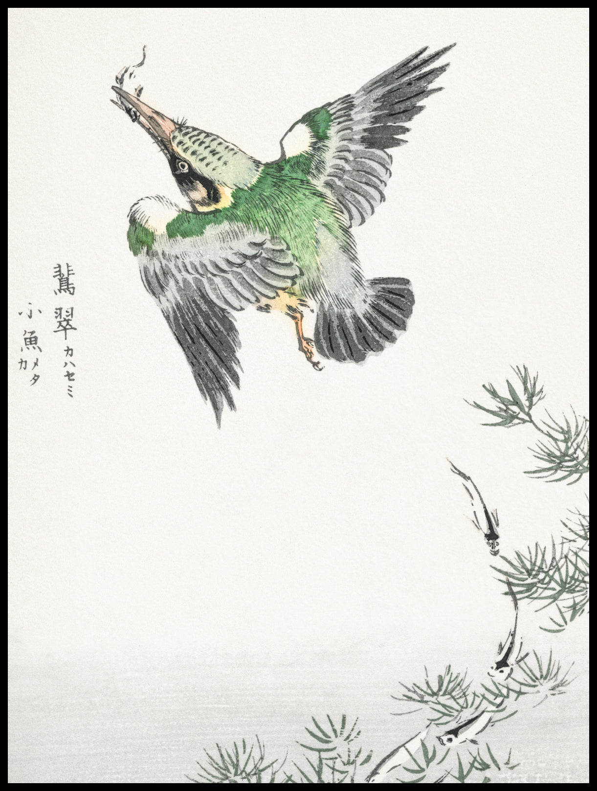 Plakat  Common Kingfisher, Kashu Japoński Vintage
