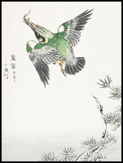 Plakat  Common Kingfisher, Kashu Japoński Vintage