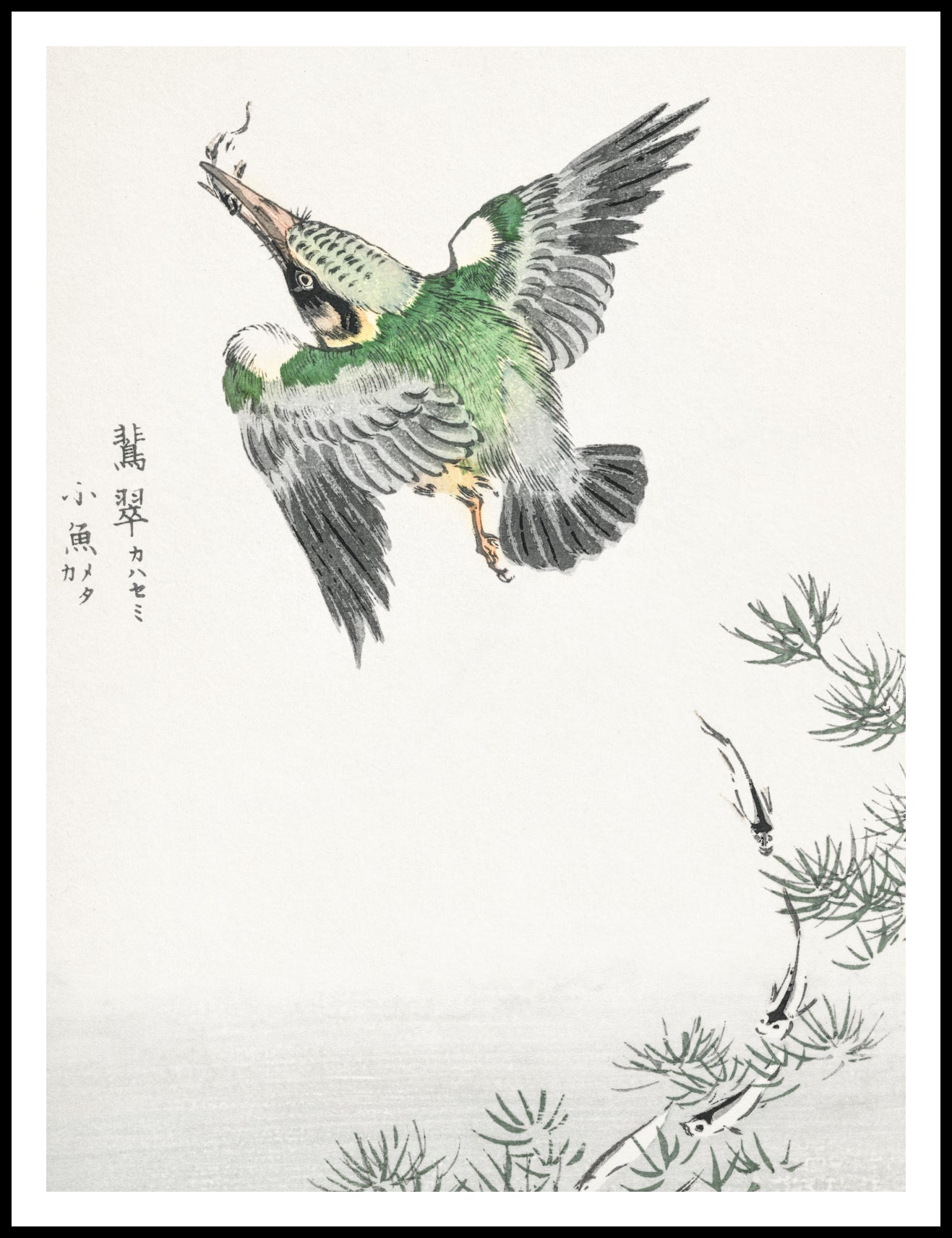 Plakat  Common Kingfisher, Kashu Japoński Vintage