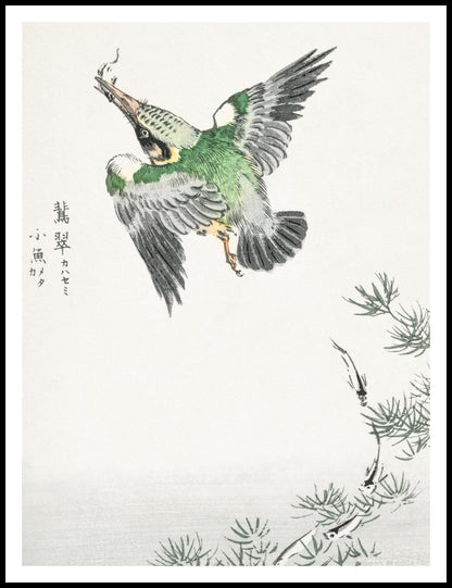 Plakat  Common Kingfisher, Kashu Japoński Vintage
