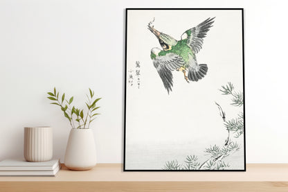 Plakat  Common Kingfisher, Kashu Japoński Vintage