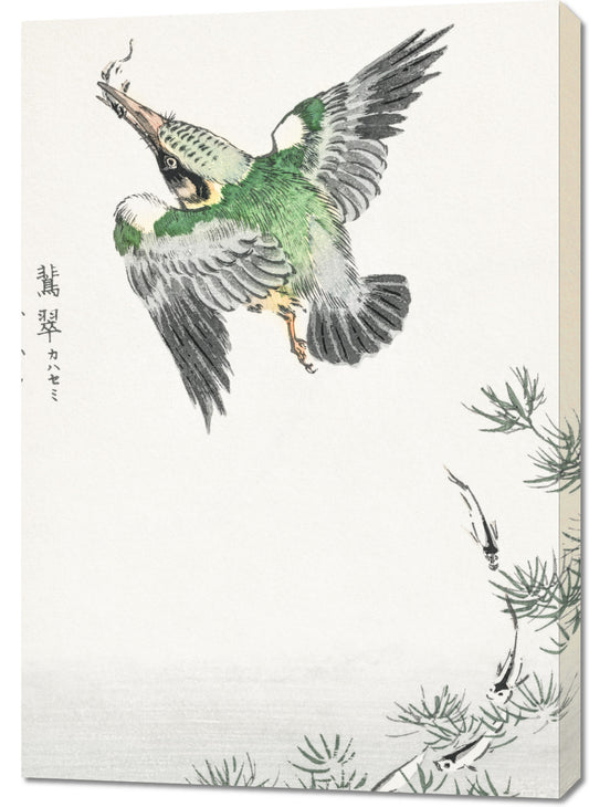 Obraz  Common Kingfisher, Kashu Japoński Vintage