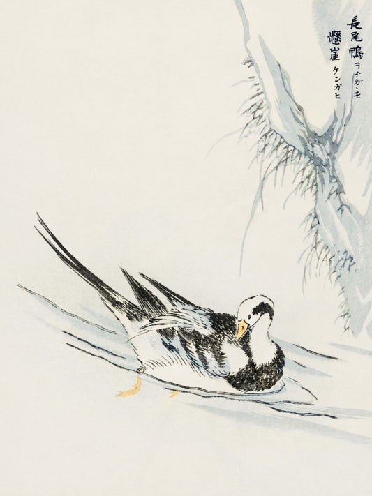 Plakat  Wild Duck, Kashu Japoński Vintage do Salonu