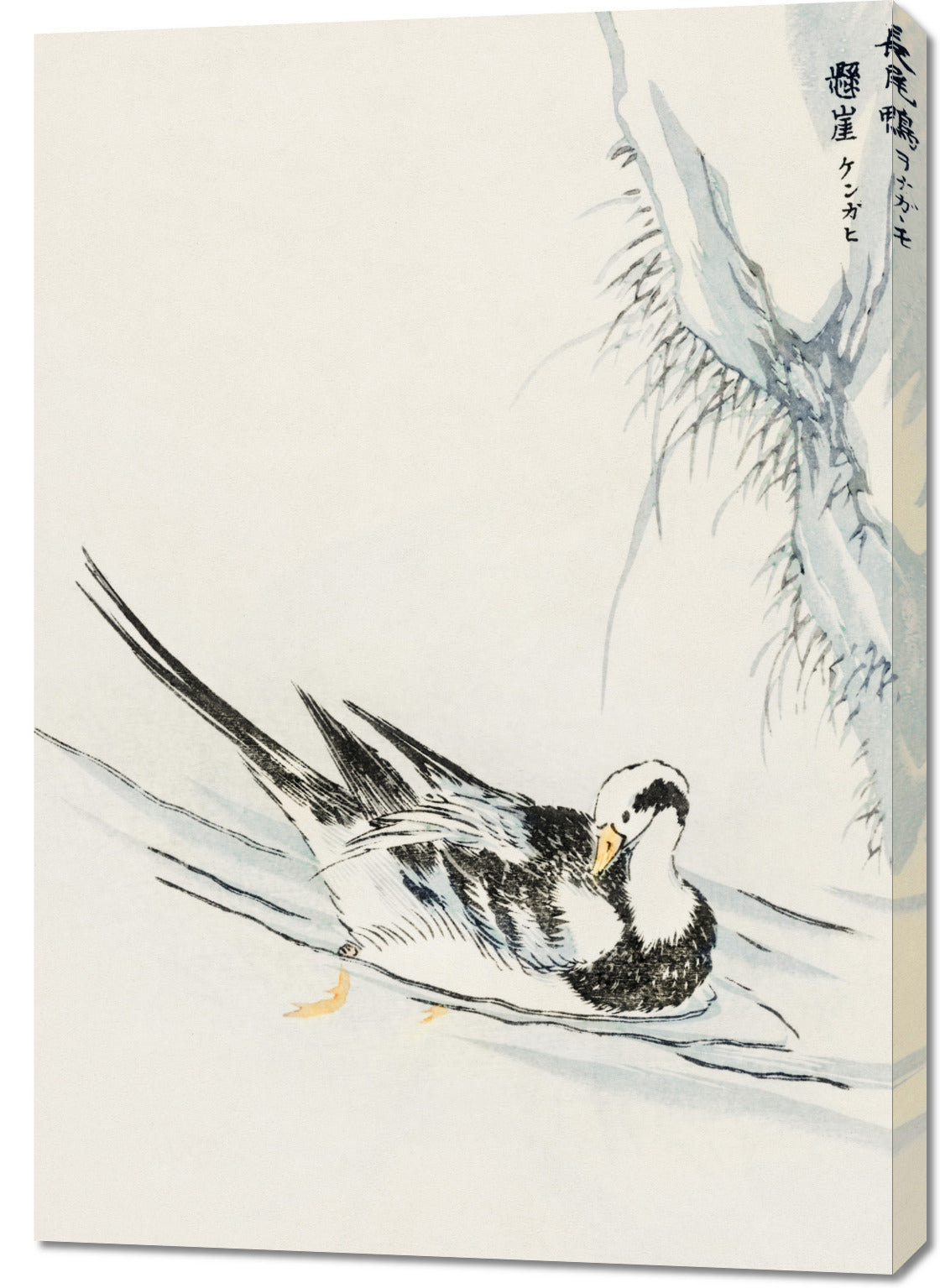 Obraz  Wild Duck, Kashu Japoński Vintage do Salonu