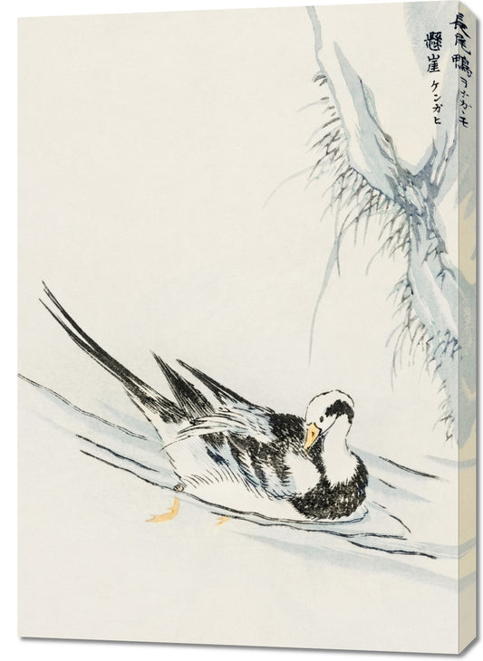 Obraz  Wild Duck, Kashu Japoński Vintage do Salonu