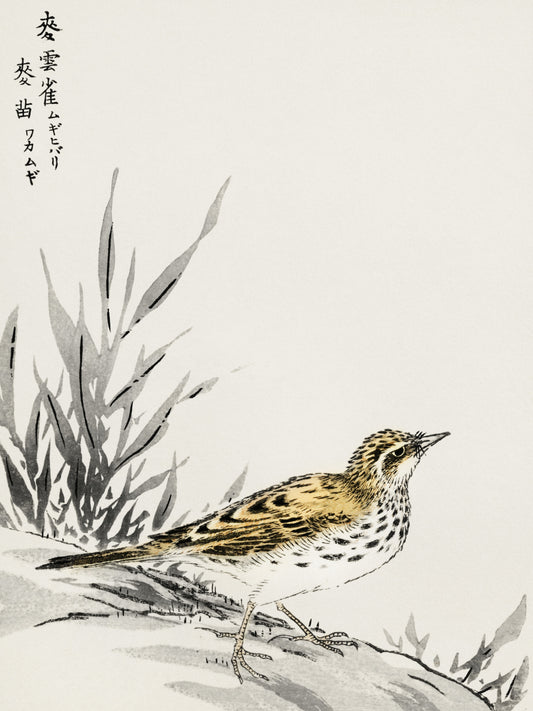 Plakat  Tree-Pipit, Kashu Japoński Vintage do Salonu