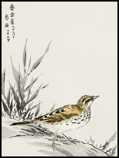 Plakat  Tree-Pipit, Kashu Japoński Vintage do Salonu