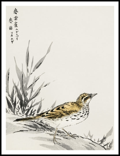 Plakat  Tree-Pipit, Kashu Japoński Vintage do Salonu
