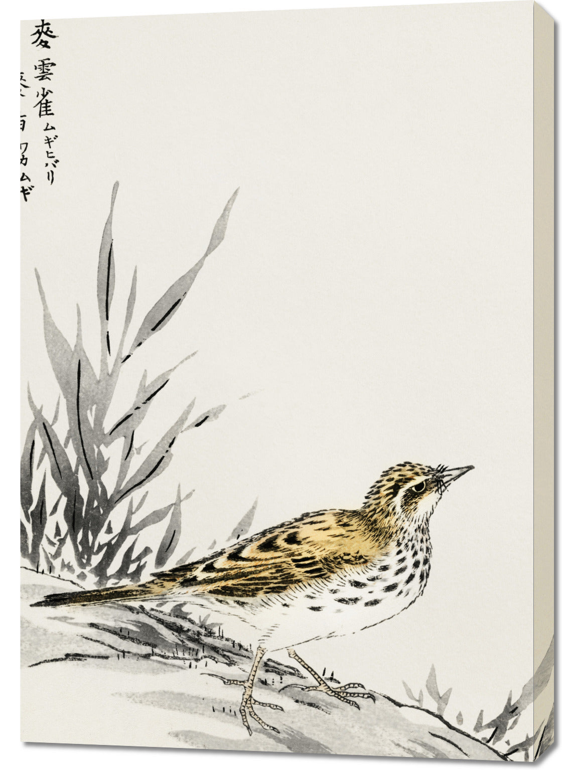 Obraz  Tree-Pipit, Kashu Japoński Vintage do Salonu