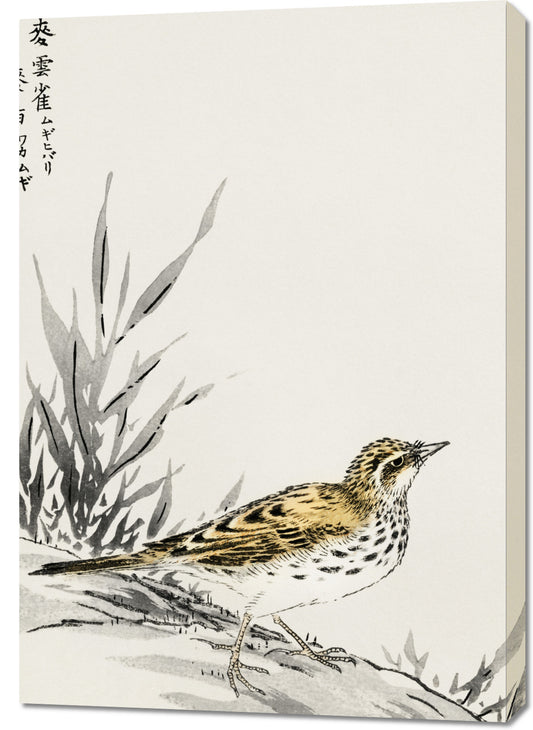 Obraz  Tree-Pipit, Kashu Japoński Vintage do Salonu