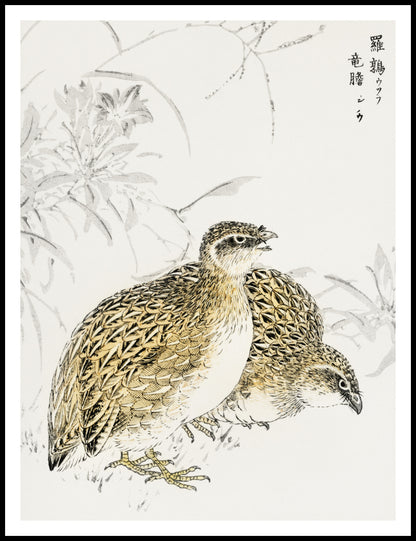Plakat  Quail, Kashu Japoński Vintage do Salonu