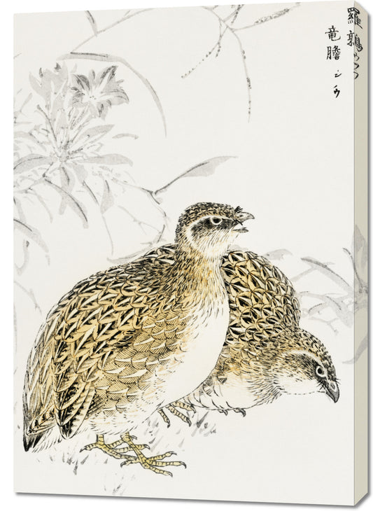 Obraz  Quail, Kashu Japoński Vintage do Salonu