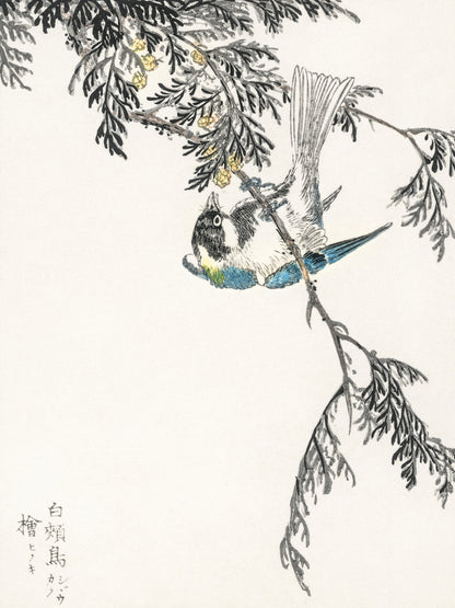 Plakat   Great Tit, Kashu Japoński Vintage do Salonu