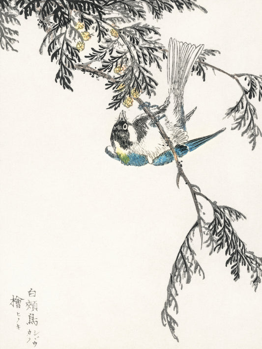Plakat   Great Tit, Kashu Japoński Vintage do Salonu
