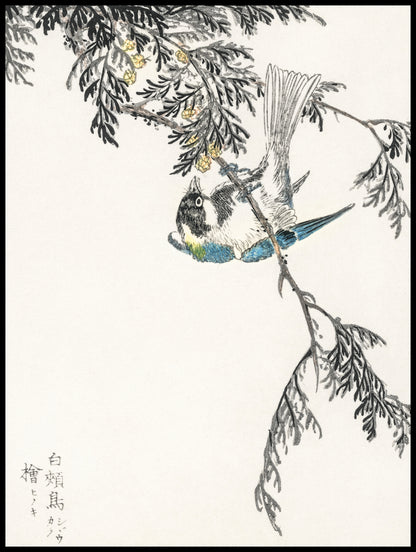 Plakat   Great Tit, Kashu Japoński Vintage do Salonu