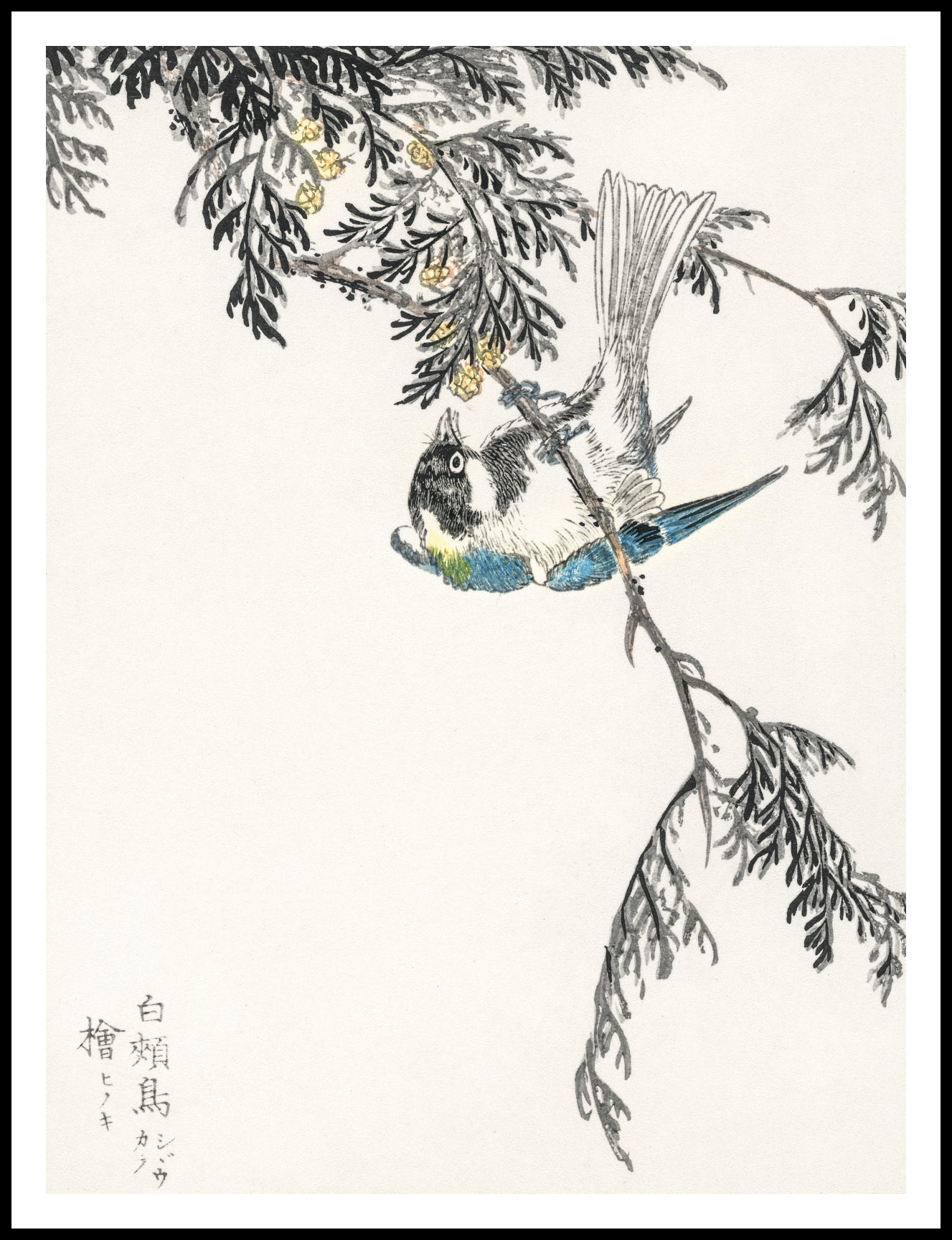 Plakat   Great Tit, Kashu Japoński Vintage do Salonu