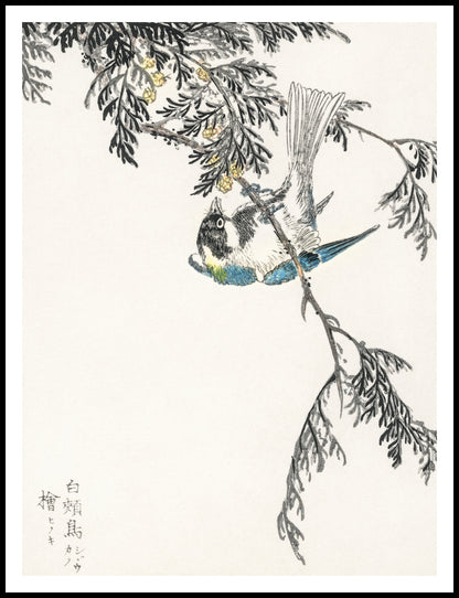 Plakat   Great Tit, Kashu Japoński Vintage do Salonu