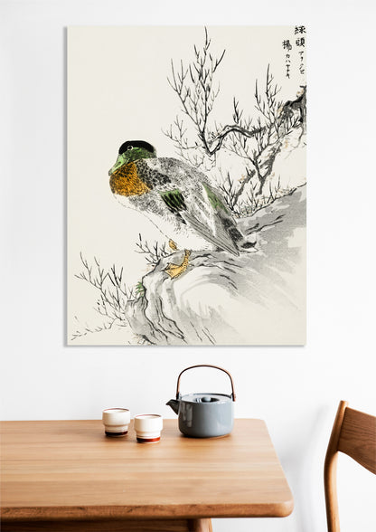 Obraz  Mallard and Willow, Kashu Japoński Vintage