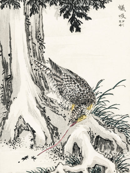 Plakat   Great Tit 2, Kashu Japoński Vintage do Salonu