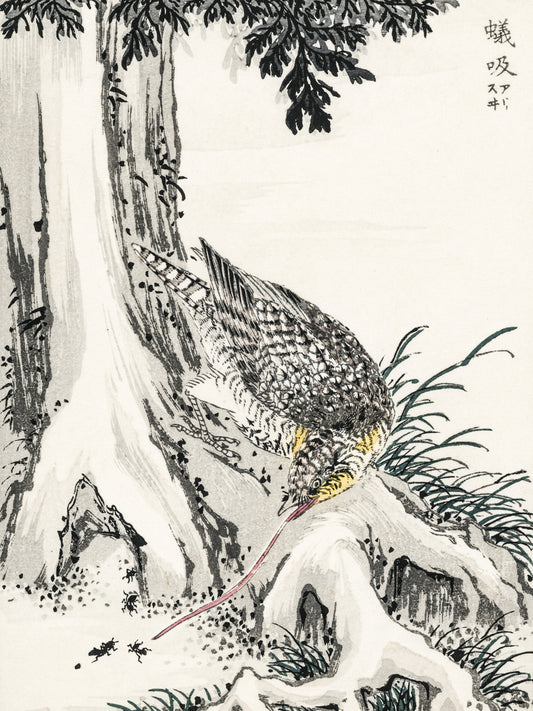 Plakat   Great Tit 2, Kashu Japoński Vintage do Salonu