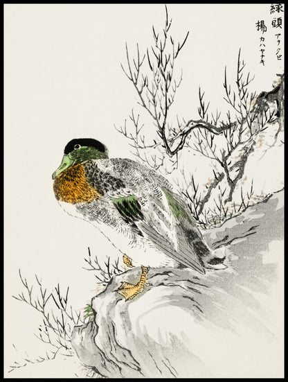 Plakat  Mallard and Willow, Kashu Japoński Vintage