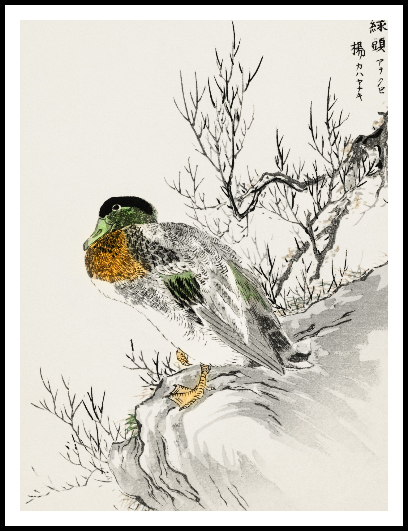 Plakat  Mallard and Willow, Kashu Japoński Vintage