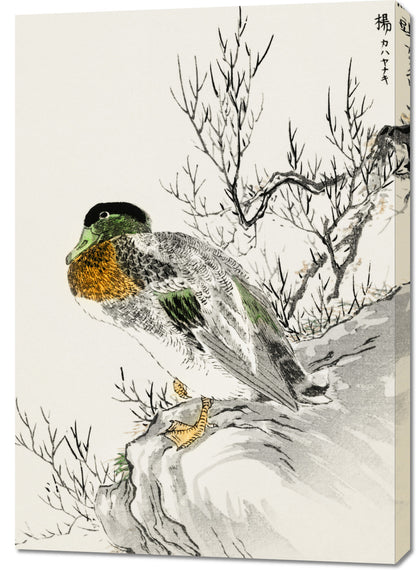 Obraz  Mallard and Willow, Kashu Japoński Vintage