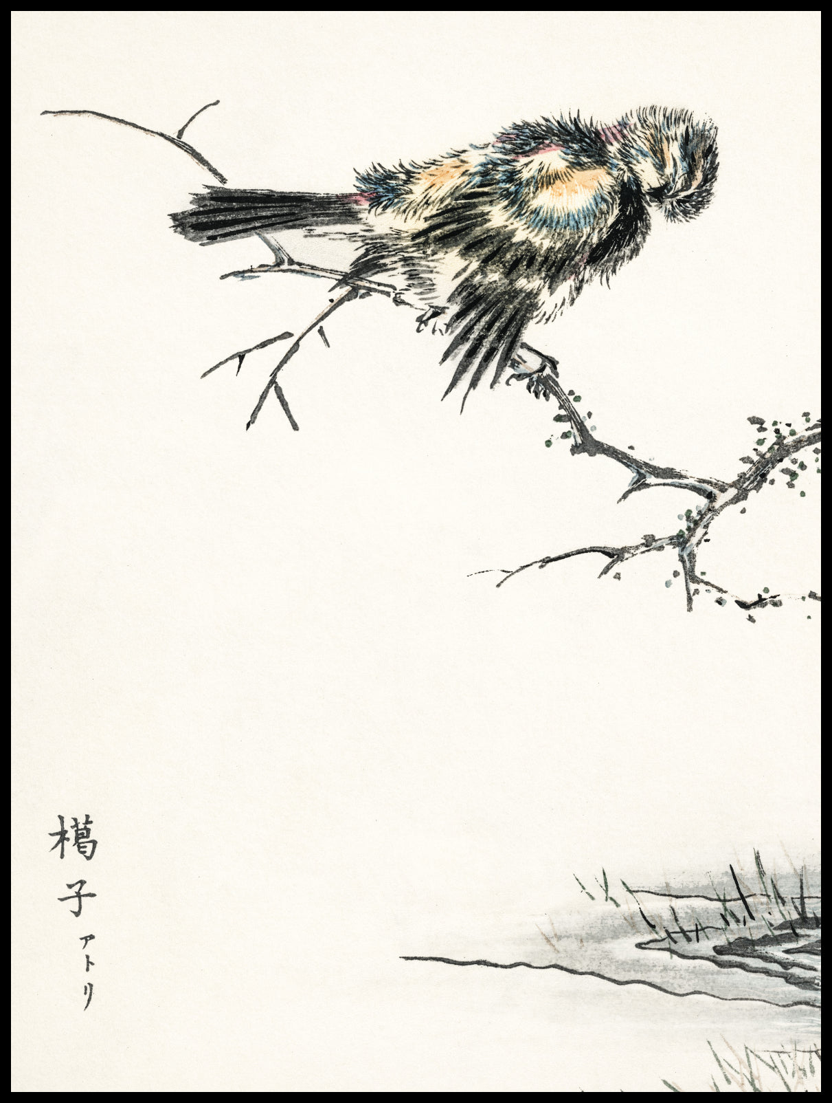 Plakat  Brambling, Kashu Japoński Vintage do Salonu