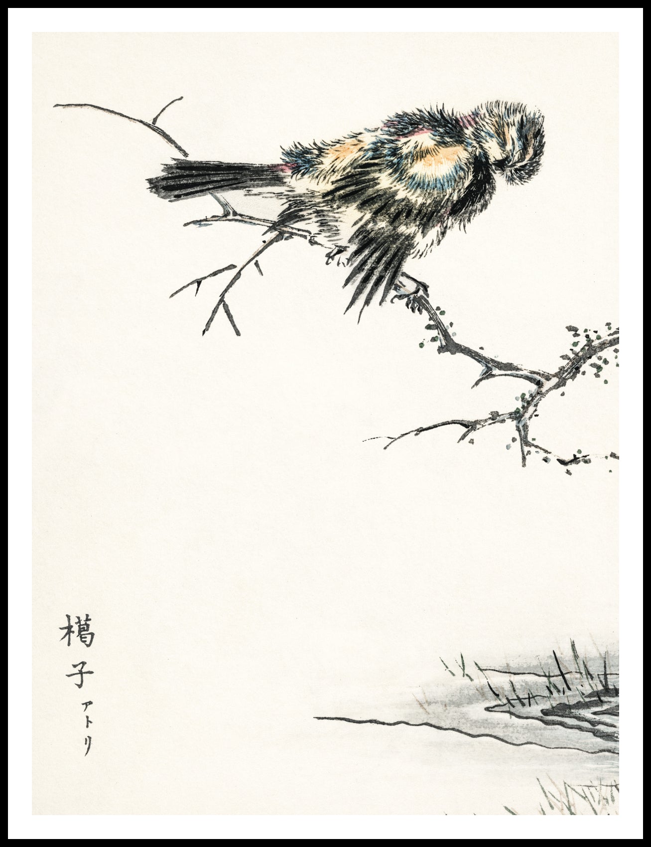Plakat  Brambling, Kashu Japoński Vintage do Salonu