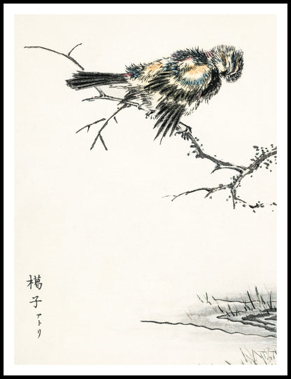 Plakat  Brambling, Kashu Japoński Vintage do Salonu
