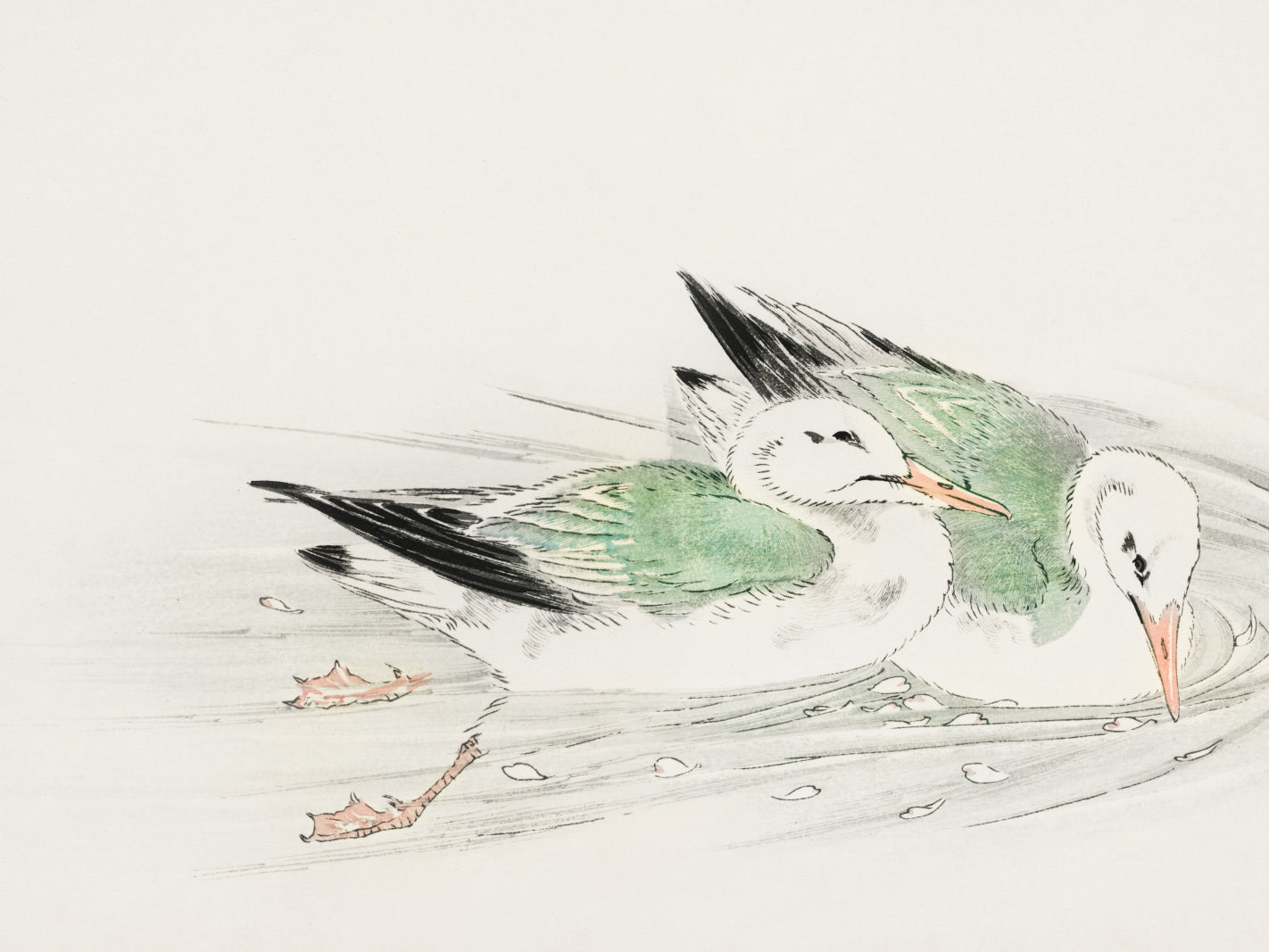 Plakat  Gull, Kashu Japoński Vintage do Salonu