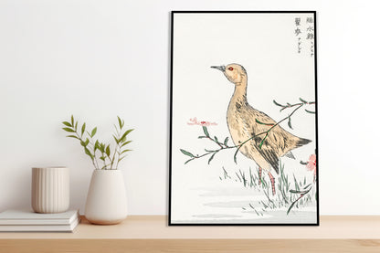 Plakat  Redshank, Kashu Japoński Vintage do Salonu