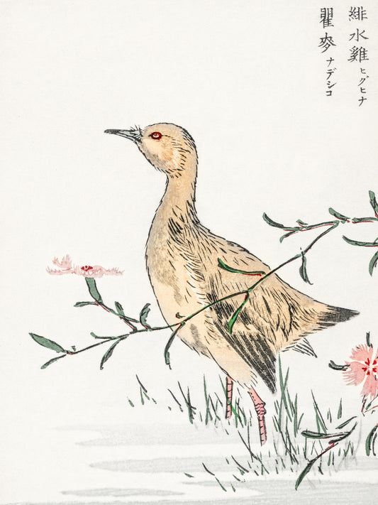 Plakat  Redshank, Kashu Japoński Vintage do Salonu