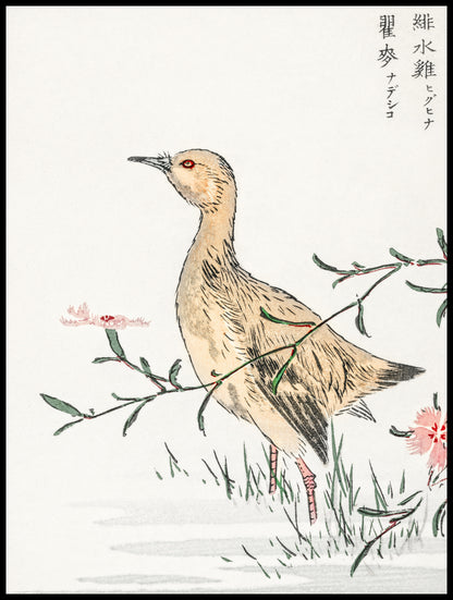Plakat  Redshank, Kashu Japoński Vintage do Salonu