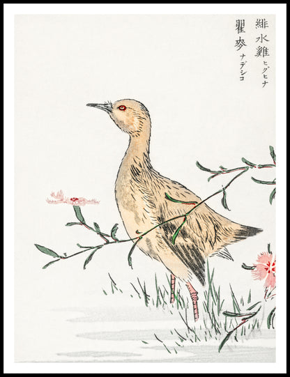 Plakat  Redshank, Kashu Japoński Vintage do Salonu