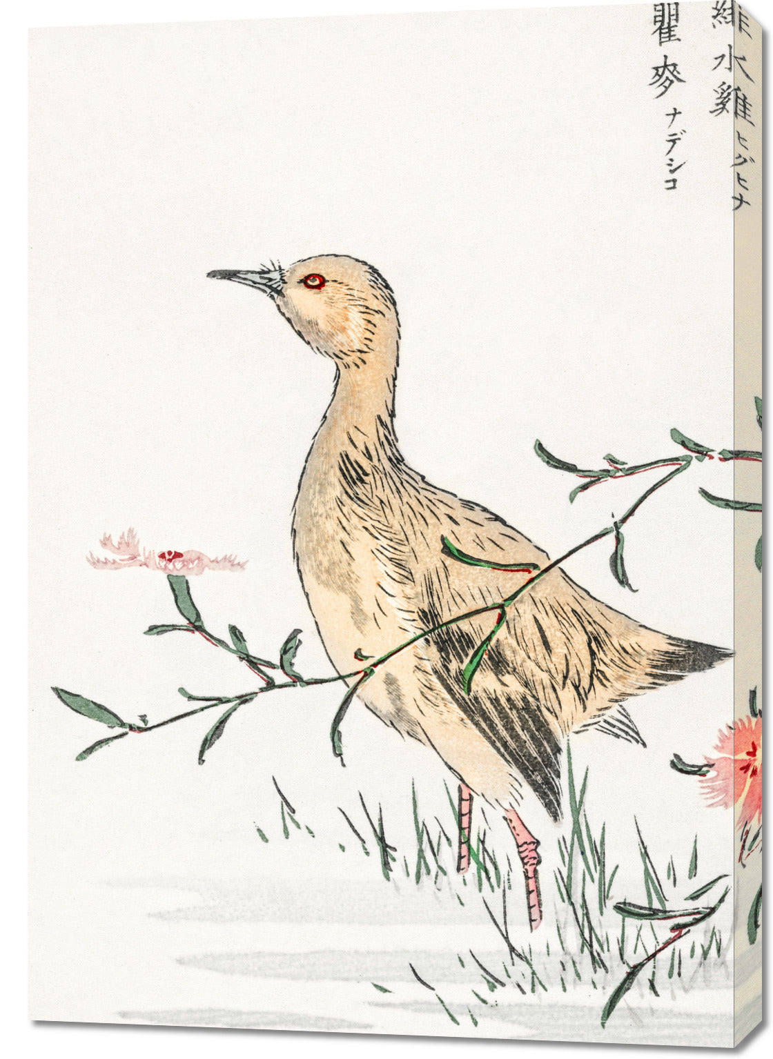 Obraz  Redshank, Kashu Japoński Vintage do Salonu