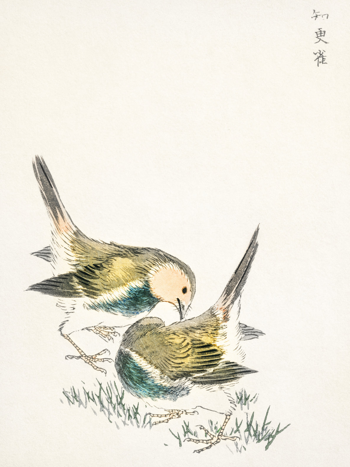 Plakat  Great Tit 3, Kashu Japoński Vintage do Salonu