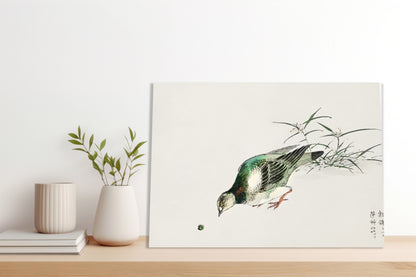 Obraz  Turtle Dove, Kashu Japoński Vintage do Salonu