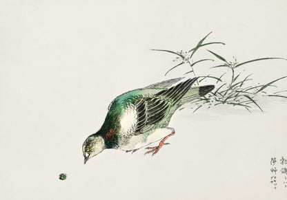 Plakat  Turtle Dove, Kashu Japoński Vintage do Salonu